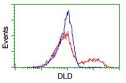 DLD Monoclonal Antibody (OTI4D5), TrueMAB , OriGene 100 &mu;L; Unconjugated:Antibodies,