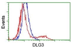 DLG3 Monoclonal Antibody (OTI3F2), TrueMAB , OriGene 100 &mu;L; Unconjugated:Antibodies,