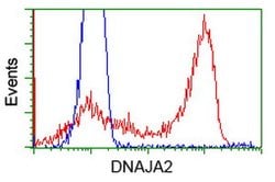 DNAJA2 Mouse anti-Human, Clone: OTI1C4, lyophilized, TrueMAB 100 &mu;g;