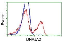 DNAJA2 Monoclonal Antibody (OTI3A11), TrueMAB , OriGene 30 &mu;L; Unconjugated:Antibodies,