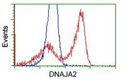 DNAJA2 Mouse anti-Canine, Human, Rat, Clone: OTI1G3, lyophilized, TrueMAB