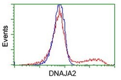 DNAJA2 Monoclonal Antibody (OTI3H10), TrueMAB , OriGene 100 &mu;L; Unconjugated:Antibodies,