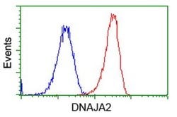 DNAJA2 Monoclonal Antibody (OTI3H10), TrueMAB , OriGene 100 &mu;L; Unconjugated:Antibodies,