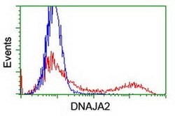 DNAJA2 Monoclonal Antibody (OTI1G9), TrueMAB , OriGene 30 &mu;L; Unconjugated:Antibodies,