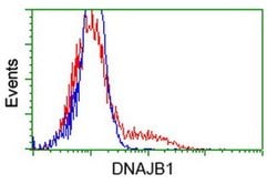 DNAJB1 Monoclonal Antibody (OTI1A12), TrueMAB , OriGene 100 &mu;L; Unconjugated:Antibodies,