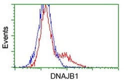 DNAJB1 Monoclonal Antibody (OTI1E10), TrueMAB , OriGene:Antibodies:Primary