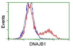 DNAJB1 Monoclonal Antibody (OTI1H8), TrueMAB , OriGene 100 &mu;L; Unconjugated:Antibodies,