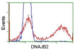 DNAJB2 Monoclonal Antibody (OTI5C11), TrueMAB , OriGene:Antibodies:Primary