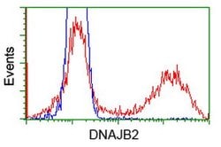 DNAJB2 Mouse anti-Human, Clone: OTI4D12, lyophilized, TrueMAB 100 &mu;g;