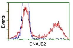 DNAJB2 Monoclonal Antibody (OTI4D12), TrueMAB , OriGene 100 &mu;L; Unconjugated:Antibodies,