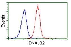 DNAJB2 Mouse anti-Human, Clone: OTI4D12, lyophilized, TrueMAB 100 &mu;g;
