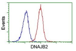 DNAJB2 Monoclonal Antibody (OTI4D12), TrueMAB , OriGene 100 &mu;L; Unconjugated:Antibodies,