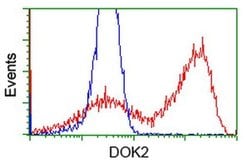 DOK2 Monoclonal Antibody (OTI1A4), TrueMAB , OriGene:Antibodies:Primary