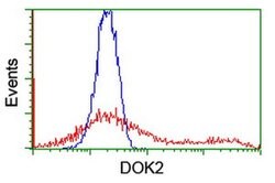 DOK2 Monoclonal Antibody (OTI2A3), TrueMAB , OriGene 100 &mu;L; Unconjugated:Antibodies,