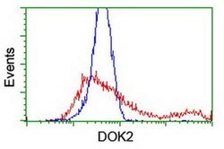 DOK2 Monoclonal Antibody (OTI3D6), TrueMAB , OriGene 100 &mu;L; Unconjugated:Antibodies,