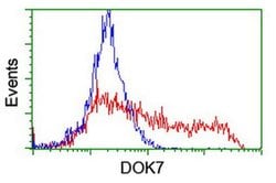 DOK7 Monoclonal Antibody (OTI7E2), TrueMAB , OriGene 30 &mu;L; Unconjugated:Antibodies,