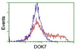 DOK7 Monoclonal Antibody (OTI1D11), TrueMAB , OriGene 30 &mu;L; Unconjugated:Antibodies,
