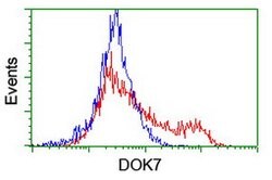 DOK7 Mouse anti-Human, Clone: OTI3C12, lyophilized, TrueMAB 100 &mu;g;