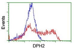 DPH2 Monoclonal Antibody (OTI4E7), TrueMAB , OriGene 30 &mu;L; Unconjugated:Antibodies,