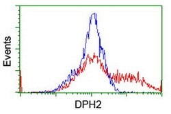 DPH2 Mouse anti-Human, Clone: OTI3A12, lyophilized, TrueMAB 100 &mu;g;