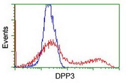 DPP3 Mouse anti-Human, Clone: OTI 2B12, lyophilized, TrueMAB 100 &mu;g;