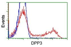 DPP3 Monoclonal Antibody (OTI 3B5), TrueMAB , OriGene 100 &mu;L; Unconjugated:Antibodies,