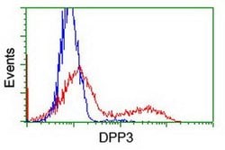 DPP3 Monoclonal Antibody (OTI 1C11), TrueMAB , OriGene:Antibodies:Primary