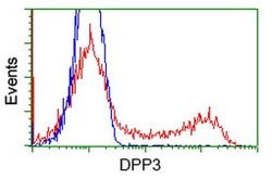 DPP3 Mouse anti-Human, Clone: OTI4B6, lyophilized, TrueMAB 100 &mu;g | Buy Online | OriGene | Fisher Scientific