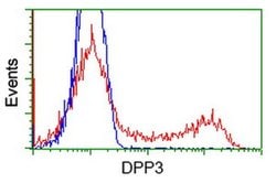 DPP3 Monoclonal Antibody (OTI4B6), TrueMAB , OriGene 100 &mu;L; Unconjugated:Antibodies,