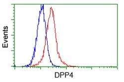 DPP4 Mouse anti-Human, Clone: OTI11D7, lyophilized, TrueMAB 100 &mu;g;