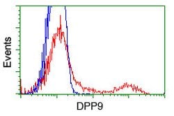 DPP9 Mouse anti-Human, Clone: OTI2F10, lyophilized, TrueMAB 100 &mu;g;