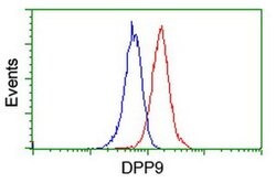 DPP9 Monoclonal Antibody (OTI5E9), TrueMAB , OriGene 100 &mu;L; Unconjugated:Antibodies,