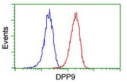 DPP9 Mouse anti-Canine, Human, Clone: OTI4F1, lyophilized, TrueMAB 100