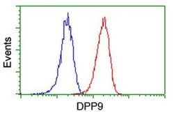 DPP9 Monoclonal Antibody (OTI4F1), TrueMAB , OriGene 30 &mu;L; Unconjugated:Antibodies,
