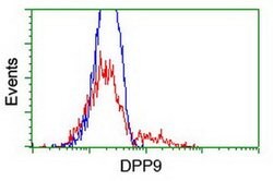 DPP9 Monoclonal Antibody (OTI6A12), TrueMAB , OriGene 100 &mu;L; Unconjugated:Antibodies,