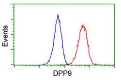 DPP9 Mouse anti-Canine, Human, Clone: OTI6A12, lyophilized, TrueMAB 100