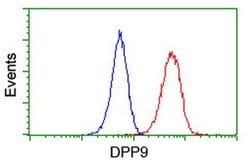 DPP9 Monoclonal Antibody (OTI6A12), TrueMAB , OriGene 100 &mu;L; Unconjugated:Antibodies,