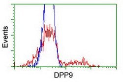 DPP9 Mouse anti-Canine, Human, Rat, Clone: OTI1G9, lyophilized, TrueMAB