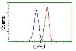 DPP9 Mouse anti-Canine, Human, Rat, Clone: OTI1G9, lyophilized, TrueMAB