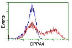 DPPA4 Monoclonal Antibody (OTI1E1), TrueMAB , OriGene:Antibodies:Primary