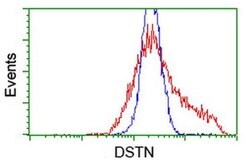DSTN Mouse anti-Canine, Human, Clone: OTI2E10, liquid, TrueMAB 100 &mu;L;