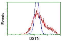 DSTN Monoclonal Antibody (OTI2E8), TrueMAB , OriGene 100 &mu;L | Buy Online | Origene Technologies | Fisher Scientific