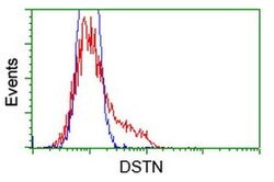 DSTN Monoclonal Antibody (OTI1C8), TrueMAB , OriGene 100 &mu;L; Unconjugated:Antibodies,