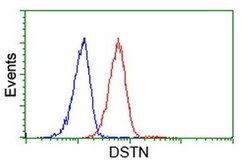 DSTN Monoclonal Antibody (OTI1C8), TrueMAB , OriGene 100 &mu;L; Unconjugated:Antibodies,