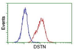 DSTN Monoclonal Antibody (OTI1C8), TrueMAB , OriGene 100 &mu;L; Unconjugated:Antibodies,