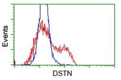 DSTN Monoclonal Antibody (OTI1B8), TrueMAB , OriGene 30 &mu;L; Unconjugated:Antibodies,