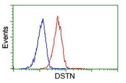 DSTN Mouse anti-Human, Clone: OTI1B8, lyophilized, TrueMAB 100 &mu;g; Unconjugated:Antibodies,
