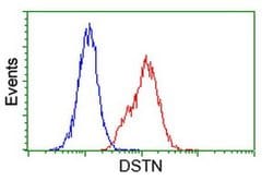 DSTN Monoclonal Antibody (OTI1B8), TrueMAB , OriGene 30 &mu;L; Unconjugated:Antibodies,