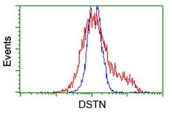 DSTN Mouse anti-Human, Rat, Clone: OTI1C5, lyophilized, TrueMAB 100 &mu;g;