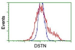 DSTN Monoclonal Antibody (OTI1C5), TrueMAB , OriGene 100 &mu;L; Unconjugated:Antibodies,